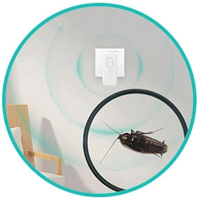 Step 2 image of Bye Critter in use driving a cockroach away